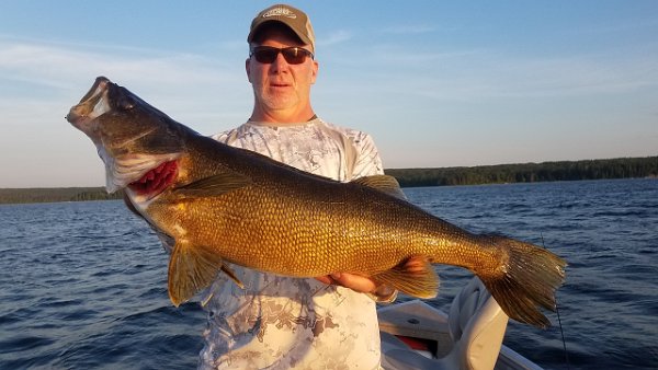 29.25 inches 10.5 pounds.jpg